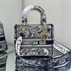 Christian Dior Shopping Bags